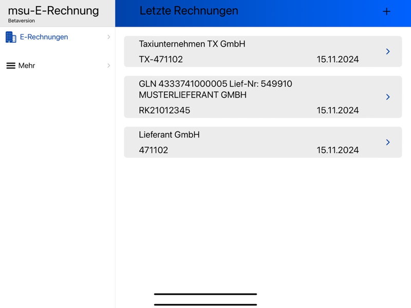 msuApps: msu-E-Rechnung - Beratung 0303438290